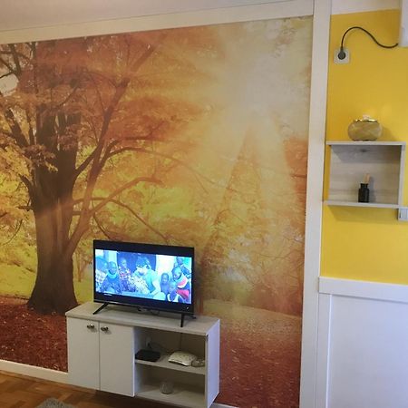 Tina Sajam Studio Novi Sad Bagian luar foto