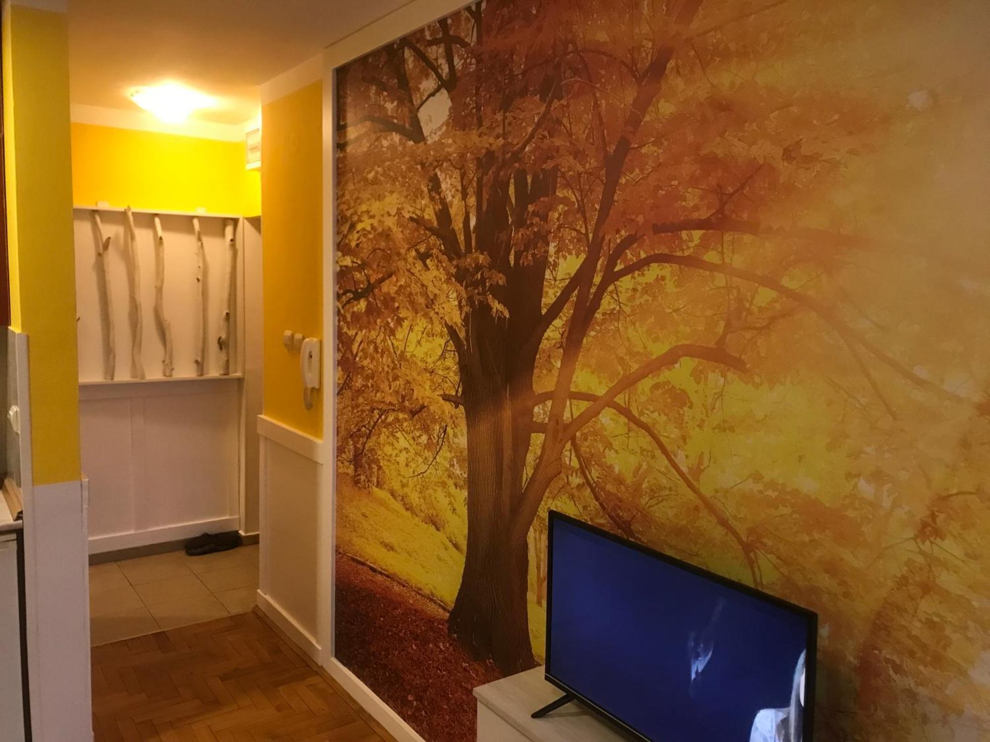 Tina Sajam Studio Novi Sad Bagian luar foto