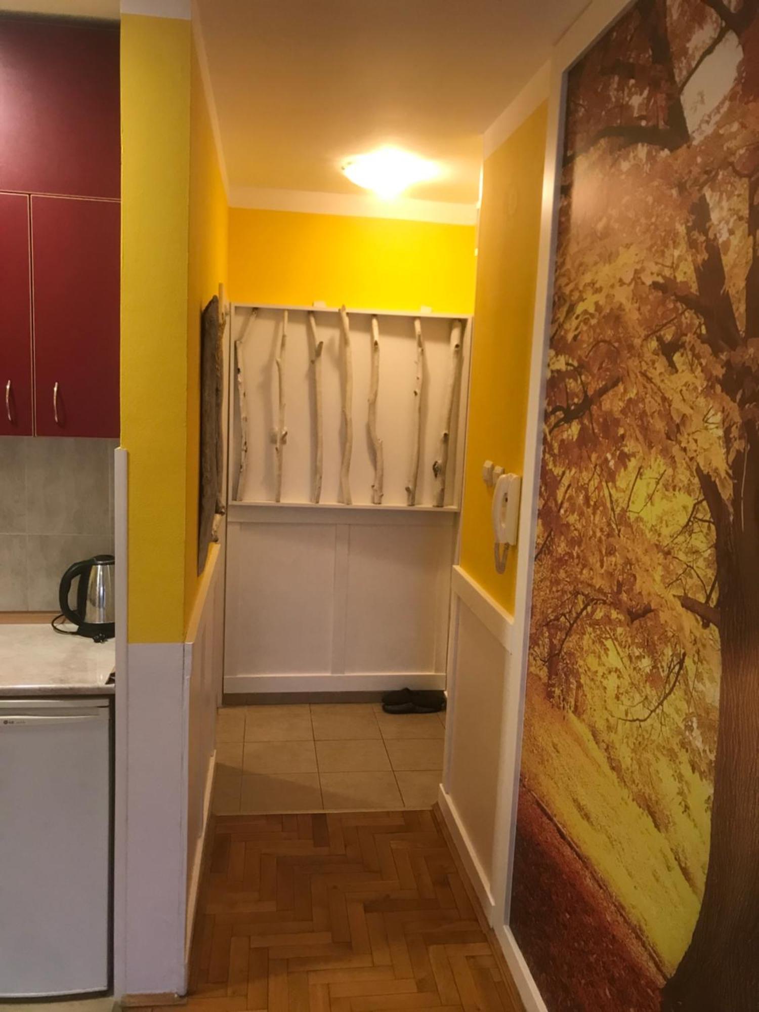 Tina Sajam Studio Novi Sad Bagian luar foto